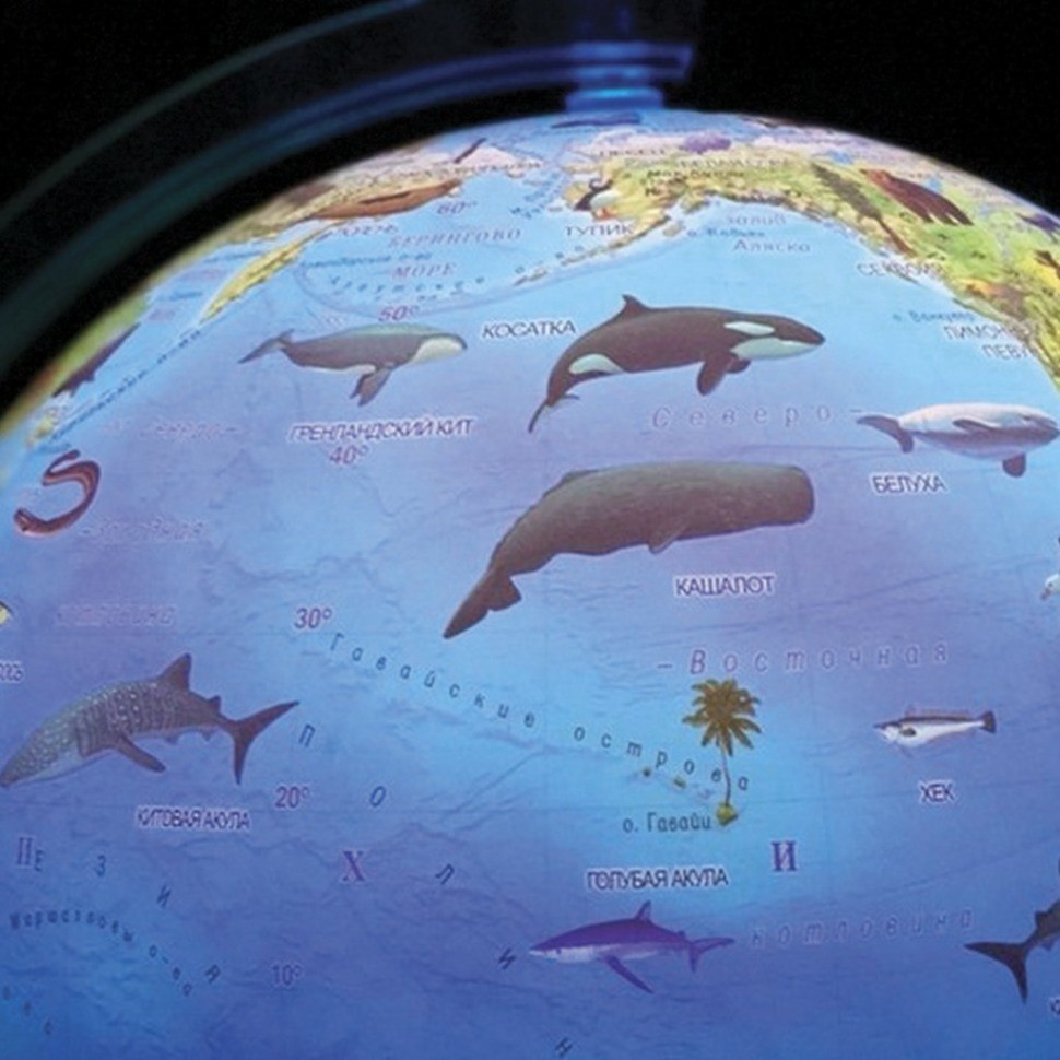 Глобус зоогеографический Globen Классик Евро d250 мм с подсветкой Ке012500270 (76414)