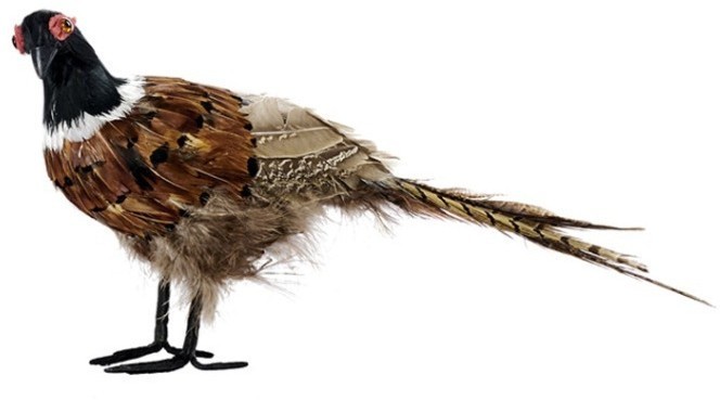 Декоративная птица AL71250, перо, искусственный материал, GOODWILL