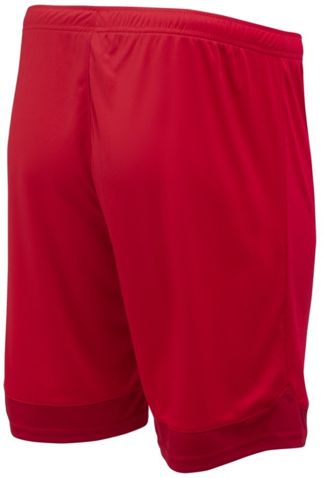 Шорты игровые DIVISION PerFormDRY Union Shorts, красный/темно-красный/белый (2101135)