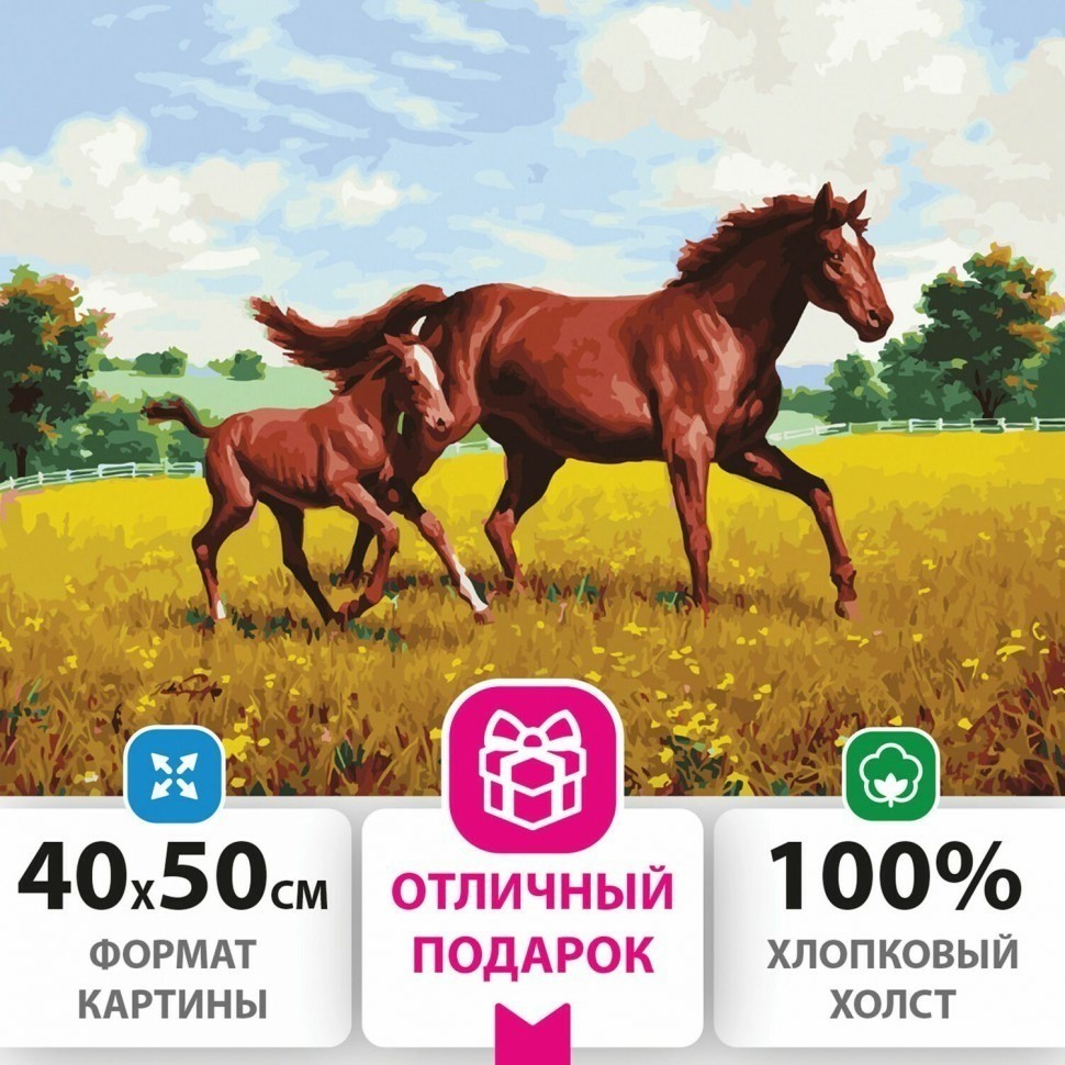 Картина по номерам 40х50 см ОСТРОВ СОКРОВИЩ Лошади на лугу на подрамн 662464 (95422)