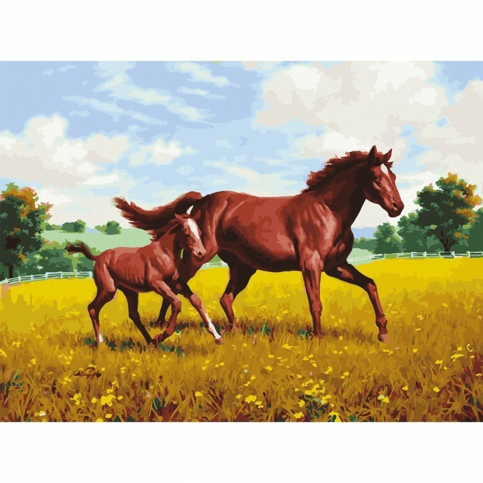 Картина по номерам 40х50 см ОСТРОВ СОКРОВИЩ Лошади на лугу на подрамн 662464 (95422)
