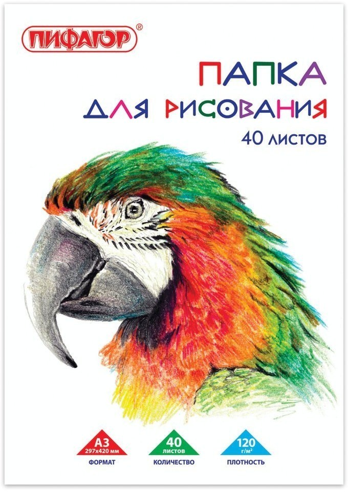 Папка для рисования А3 Пифагор Попугай 40 листов 120 г/м2 129219 (3) (69505)