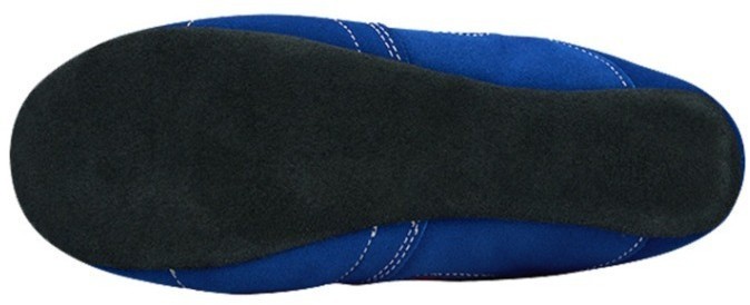 Обувь для самбо TRIUMPH FIAS, синий/красный (794661)