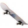 Скейтборд Malibu 31.6"x8" (2109109)