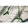 Одеяло всесезонное с бамбуком Natura Sanat Бархатный бамбук в чехле из микрофибры 140х205 ББ-О-3-3 (89131)
