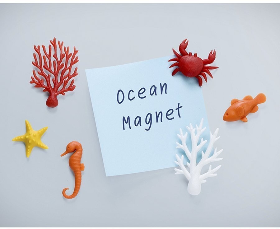 Набор магнитов ocean, 6 шт. (68797)