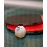 Мяч для настольного тенниса 3* Champion ITTF, белый, 3 шт. (693469)