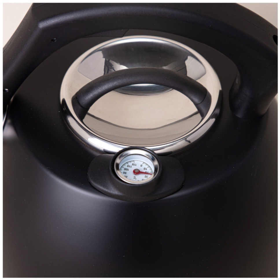 Чайник agness со свистком, серия тюдор, 3,0л термоаккумулирующее дно,индукция,встроенный термометр (908-065)