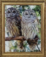Картина Совы с кристаллами Swarovski (1675)