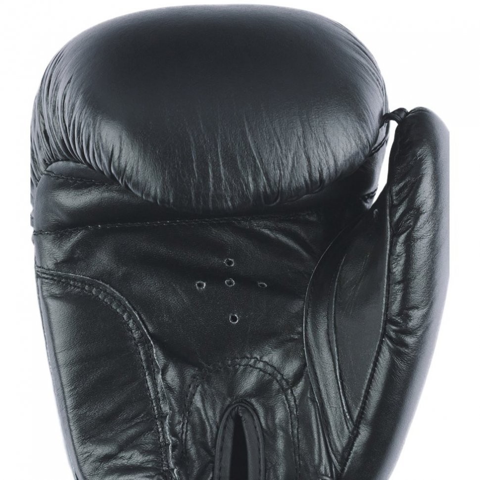 Перчатки боксерские ARES, кожа, черный, 10 oz (1738621)