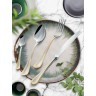 EME Набор для салата FIRENZE GOLD DECOR 2 шт C03FI/OR