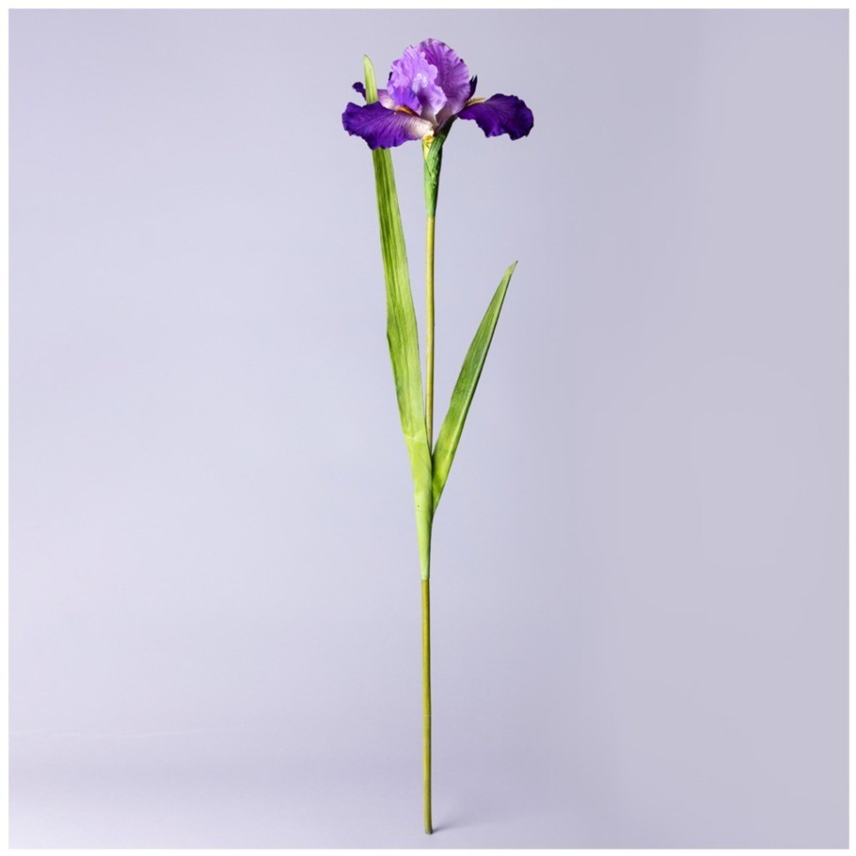 Цветок искусственный "ирис" высота=90см. Lefard (287-500)