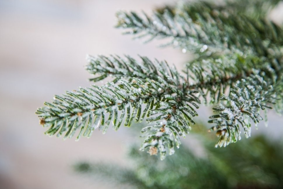 Ель хрустальная 215 см заснеженная (74373)