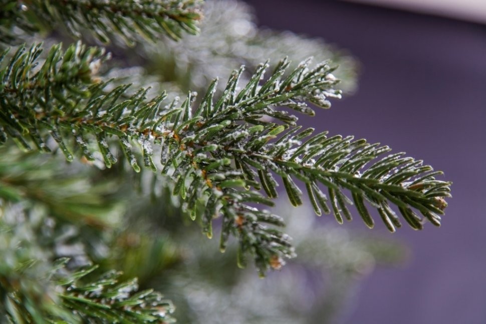 Ель хрустальная 215 см заснеженная (74373)