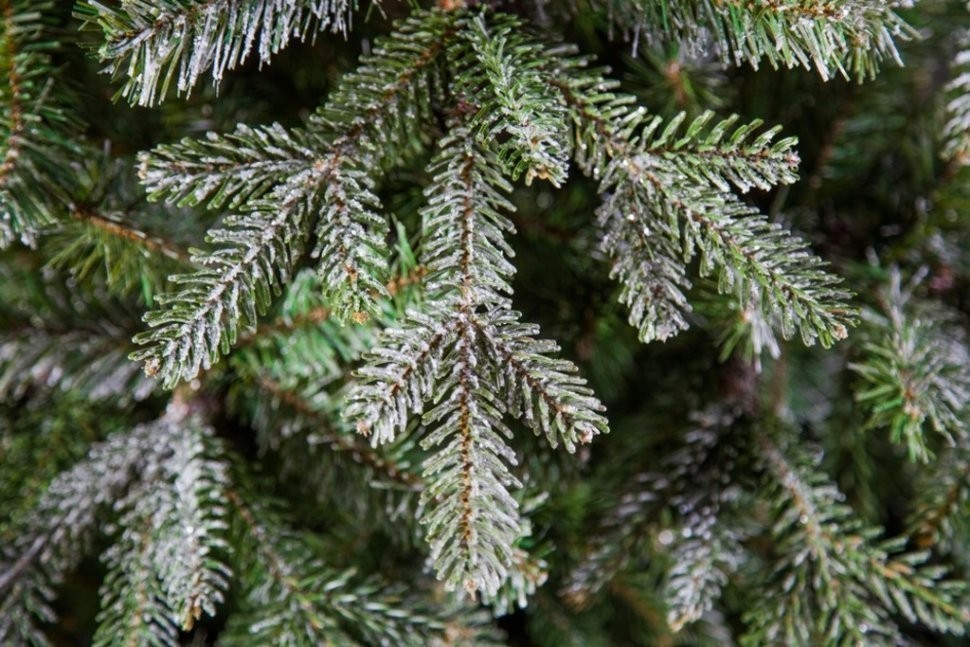 Ель хрустальная 215 см заснеженная (74373)