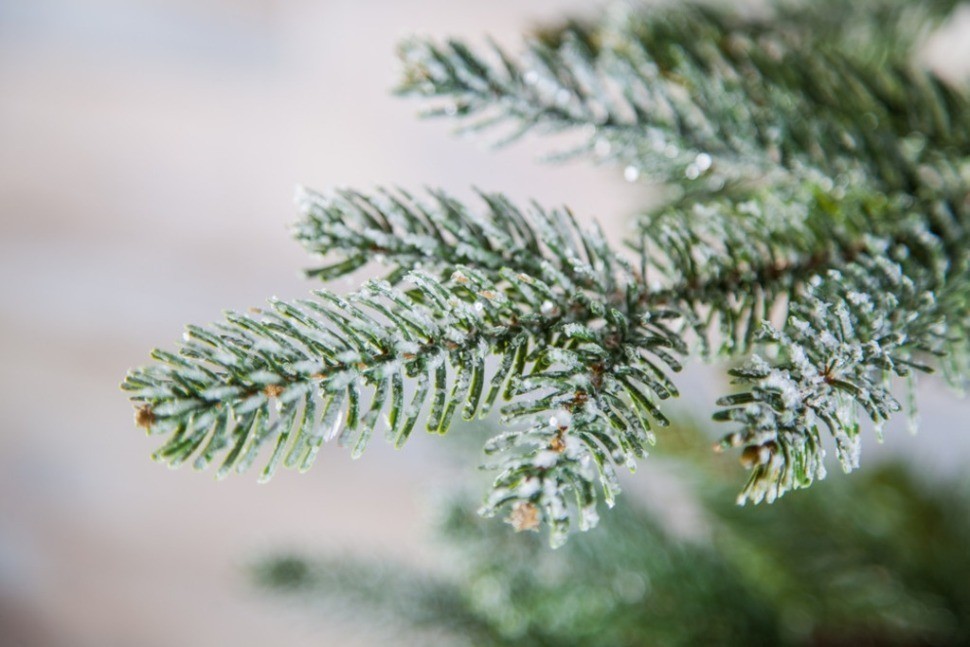 Ель хрустальная 215 см заснеженная (74373)