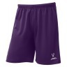 Шорты баскетбольные Camp Basic, фиолетовый (1619724)