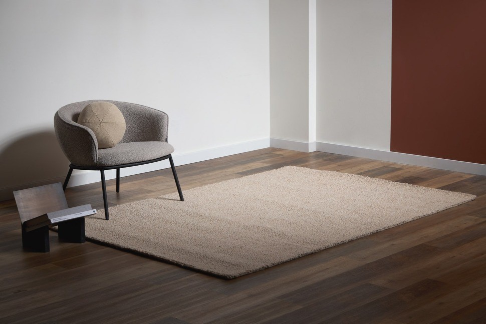 Ковер из шерсти salem бежевого цвета из коллекции ethnic, 200x300 см (79875)