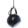 Лампа потолочная ball с подвесом, 24хD19 см, черная матовая (68025)
