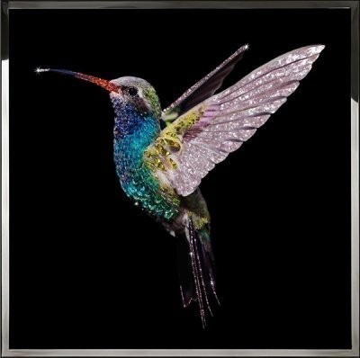 Картина Жемчужная колибри с кристаллами Swarovski (2359)