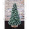 Триумф ель нормандия пушистая 230 см голубая (72056)