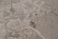 Стол журнальный, керамика Augustus Gray d90*39см (TT-00015700)