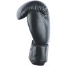 Перчатки боксерские ARES, кожа, черный, 14 oz (1738623)