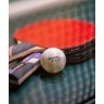 Мяч для настольного тенниса 3* Prime, белый, 6 шт. (610663)