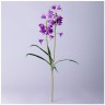 Цветок искусственный "колокольчик" высота=60см. Lefard (287-505)