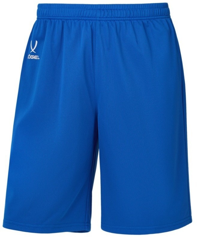 Шорты баскетбольные JÖGEL DIVISION PerFormDRY RBF 2S Shorts, синий (2119000)