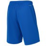 Шорты баскетбольные JÖGEL DIVISION PerFormDRY RBF 2S Shorts, синий (2119000)