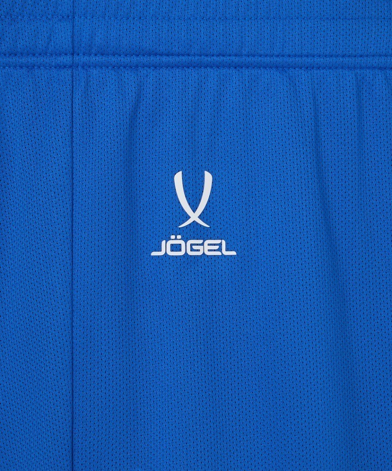 Шорты баскетбольные JÖGEL DIVISION PerFormDRY RBF 2S Shorts, синий (2119000)
