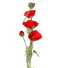 Цветок искусственный длина=110 см "мак" Huajing Plastic (23-285)