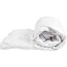 Одеяло Лира 200*220 100% белый гусиный пух (TT-00007891)