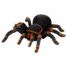 Радиоуправляемый робот-паук Тарантул (781)