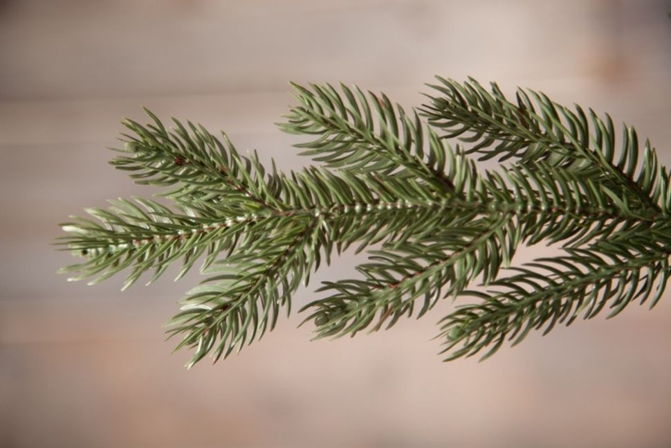 Триумф ель царская 215 см зеленая 100% литая (72091)