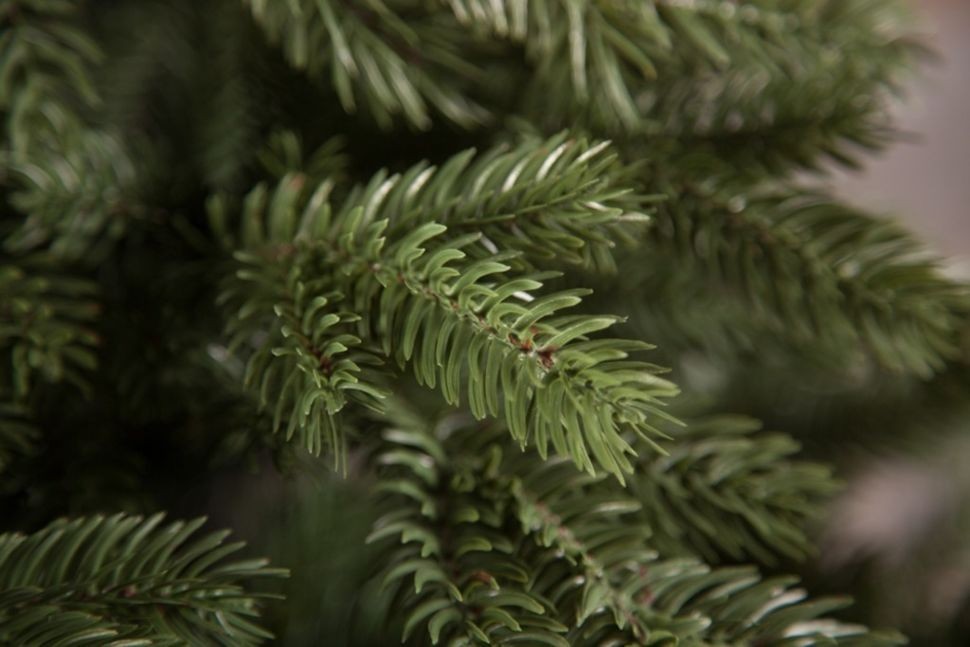 Триумф ель царская 215 см зеленая 100% литая (72091)