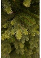 Триумф ель уэльская 215 см зеленая (73556)