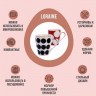 Набор кружек 340 мл 4 шт Горох LORAINE (31232-Н1)