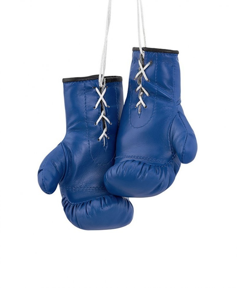 Перчатки боксерские AG-1008FBR сувенирные, синий (2072889)