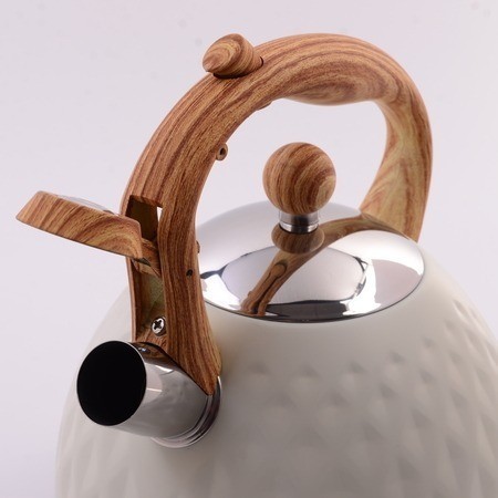 Чайник со свистком 2,5 л (40654)