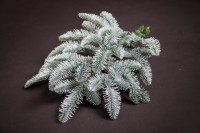 Триумф ель нормандия пушистая 100% литая 185 см заснеженная (72085)