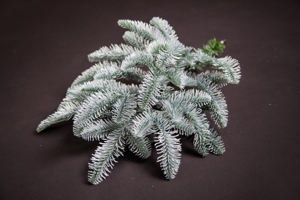 Триумф ель нормандия пушистая 100% литая 185 см заснеженная (72085)