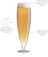 Набор бокалов для пива, 500 мл, 2 шт. (50407)