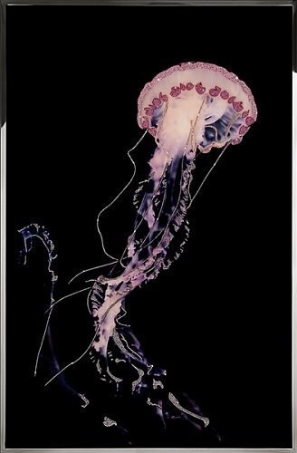 Картина Розовая медуза с кристаллами Swarovski (2372)