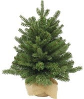Триумф ель шервуд премиум 60 см в мешочке зеленая (72065)