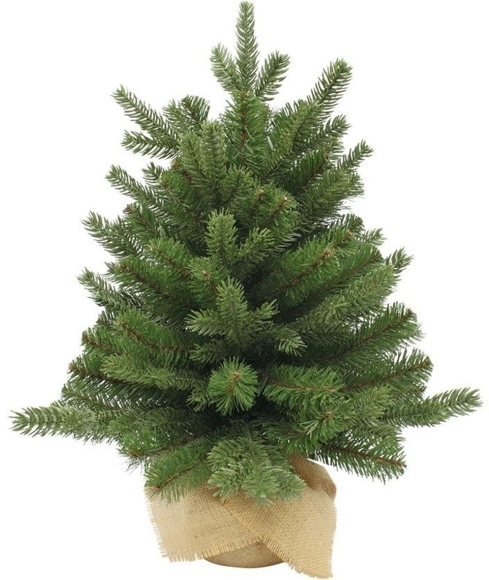 Триумф ель шервуд премиум 60 см в мешочке зеленая (72065)