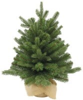 Триумф ель шервуд премиум 60 см в мешочке зеленая (72065)