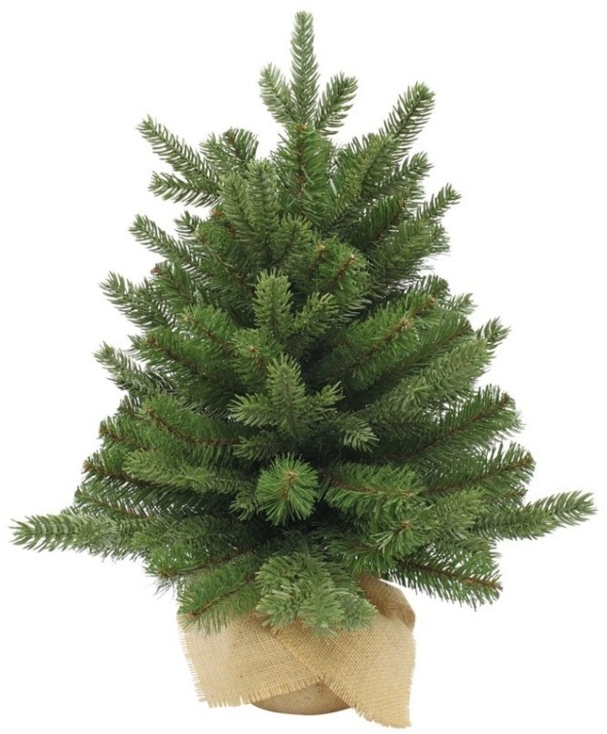 Триумф ель шервуд премиум 60 см в мешочке зеленая (72065)