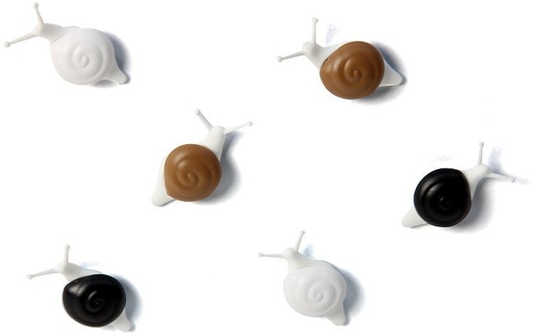 Набор магнитов snail, 6 шт. (62166)